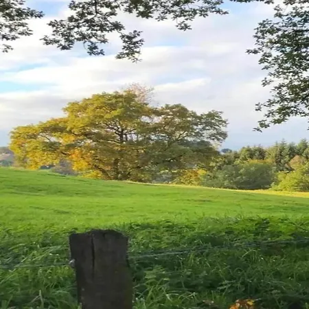 Lägenhet Vibrant In With Private Terrace