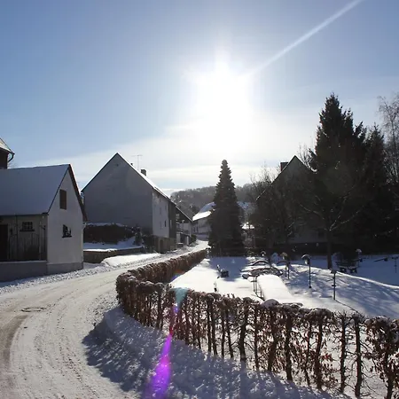 Apartment Vibrant In With Private Terrace Willingen (Upland)