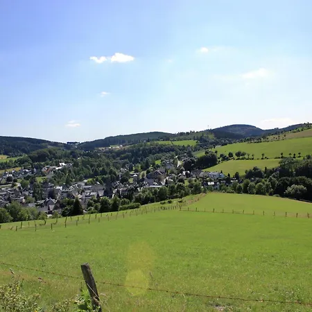 Vibrant In With Private Terrace Willingen (Upland)