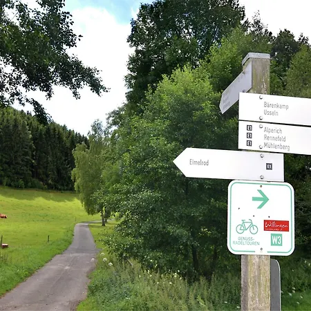 Apartment Vibrant In With Private Terrace Willingen (Upland)