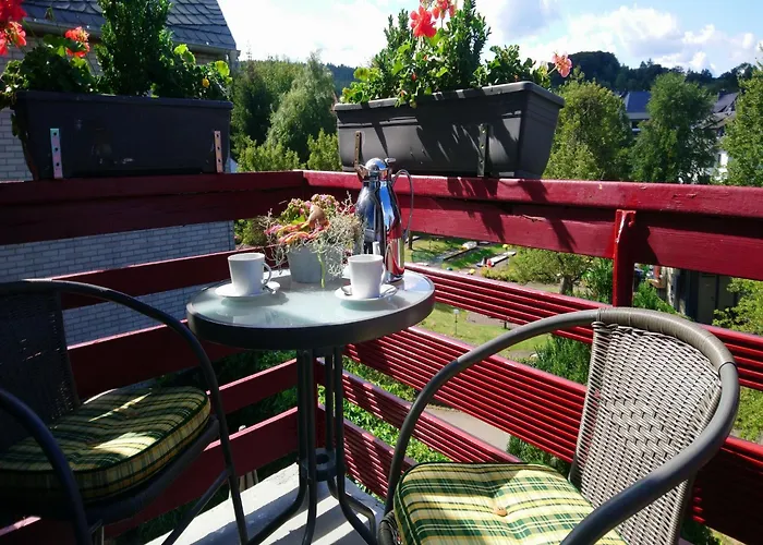 Vibrant In With Private Terrace Willingen (Upland)