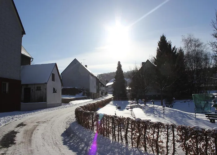 Vibrant In With Private Terrace * Willingen (Upland)