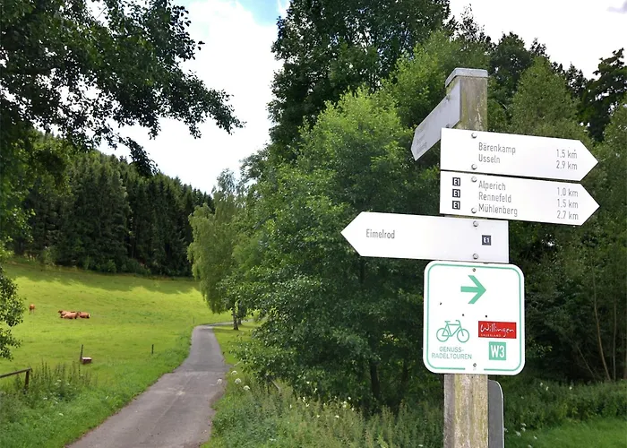 Vibrant In With Private Terrace Willingen (Upland)