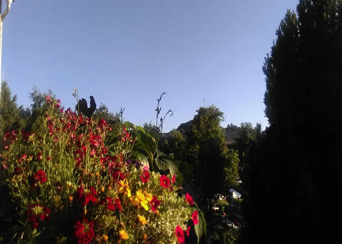 Vibrant In With Private Terrace Appartement Willingen (Upland)