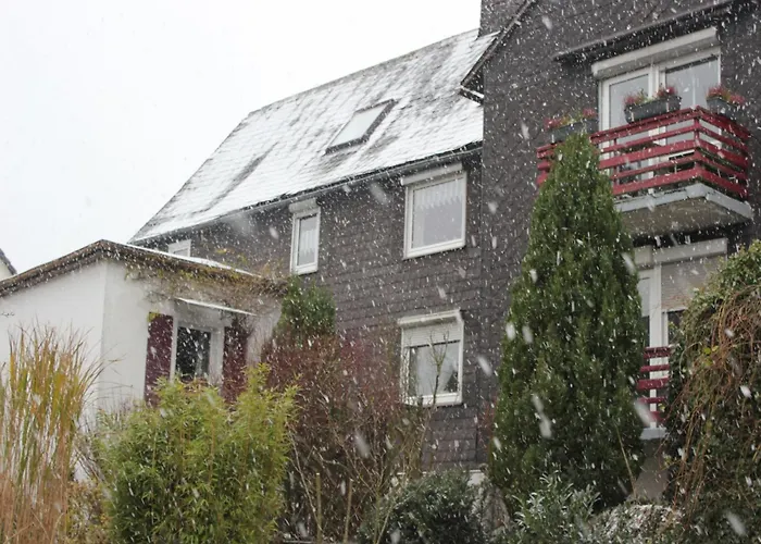 Vibrant In With Private Terrace Appartement Willingen (Upland)