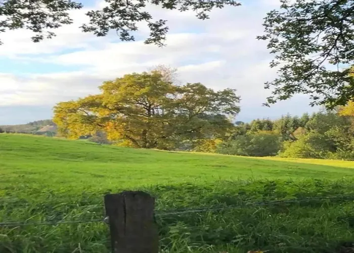 Appartement Vibrant In With Private Terrace