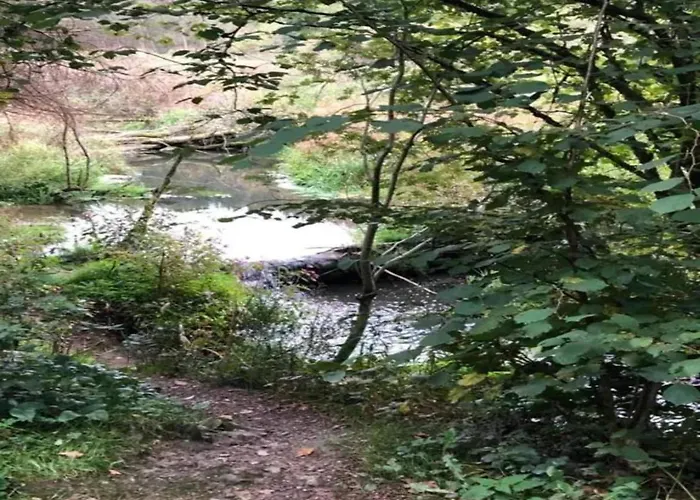 Vibrant In With Private Terrace Appartement Willingen (Upland)